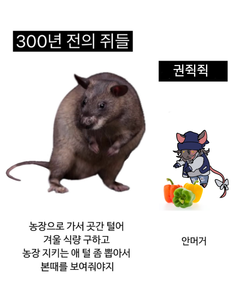 일러스트124.png